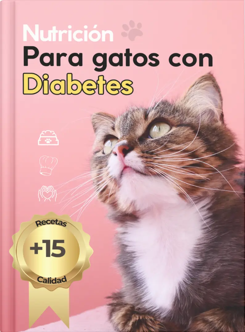 Snacks Felinos